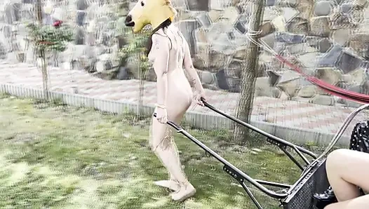Pony girl whipped, milked and bruised hard - EXTREME LEZDOM Ponygirl training