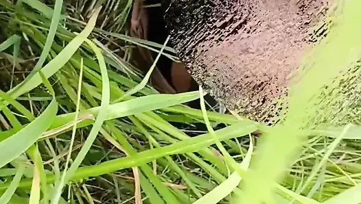 Village Outdoor Sex Indian GF Outdoor Sex finger Girl Outdoor Sex