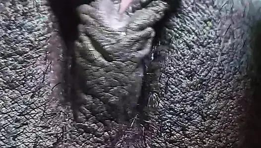 German natural dirty fat pussy teasing closely on camera