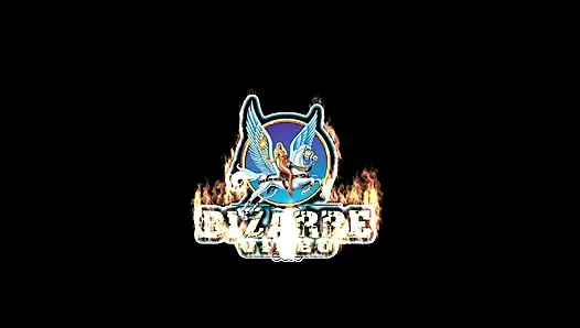 Laylas_submission
