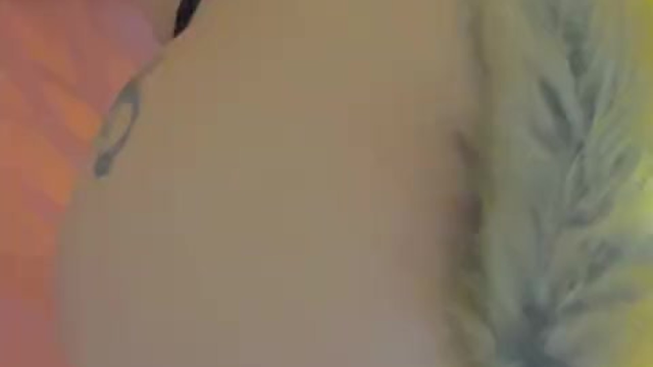 se puso esa pollerita y me la tuve que coger