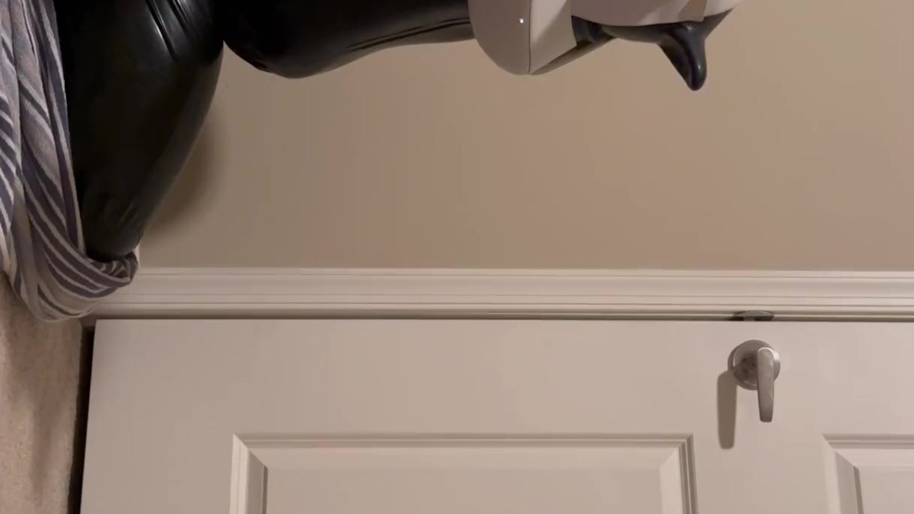 LatexPup Uses VR (No Overlay)