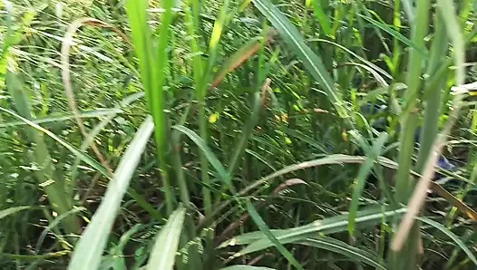 Best Blojobe Indian desi bhabhi outdoor anal video desi bhabhi