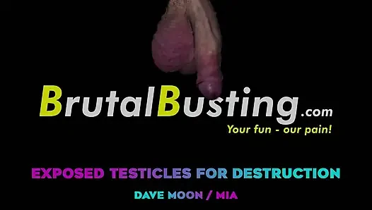 Exposed Testicles Directly for Destruction! Balls Speedbag - Dave Moon - Mia - Bbusting (ballbusting)