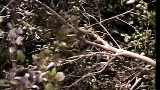 Four black amazing babes with dildos are fucking young yogi in the forest
