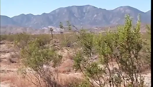 Marvelous asian chick gets anally slammed outdoors