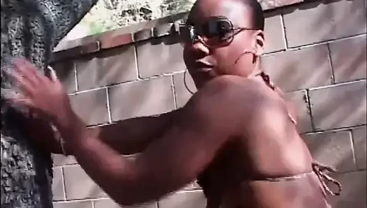 Black and white sexy black pussy fucking in the garden