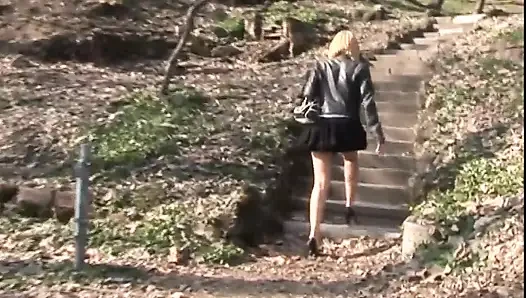 Big cock sucking in the park