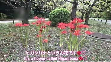 [vlog] A stroll date in a stylish garden in Tokyo | Autumn date | Cosmos field in Tokyo