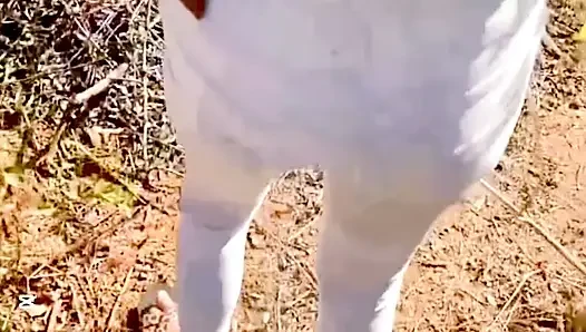 Clz yan nathuwa eha gedara akki ekka kale panala hodata hikawa