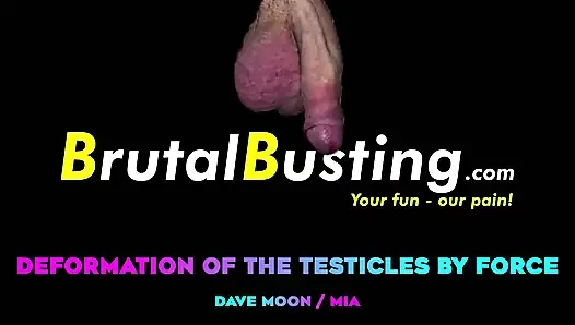 Testicular Deformation! His Balls Have No Chance of Challenging Her Power - Dave Moon - Mia - Bbusting (ballbusting)