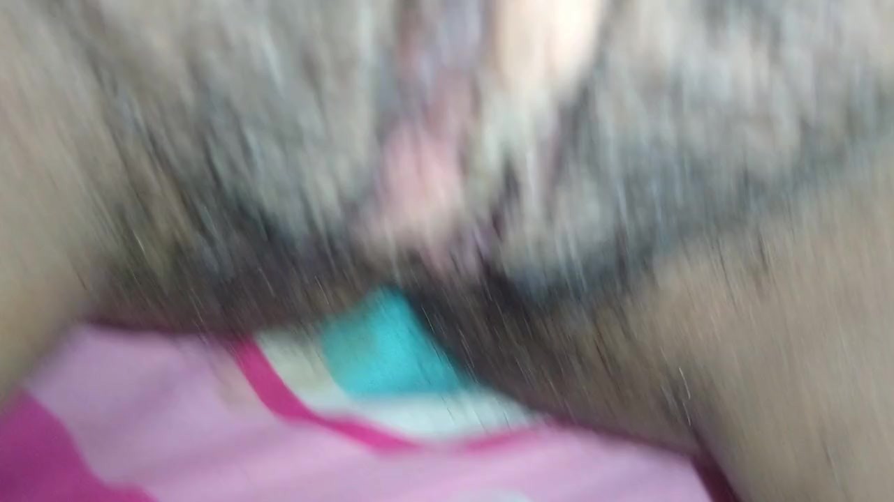 Chuchapeludayrica
