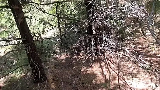 He Took Me Into the Bushes to Fuck Me in the Ass