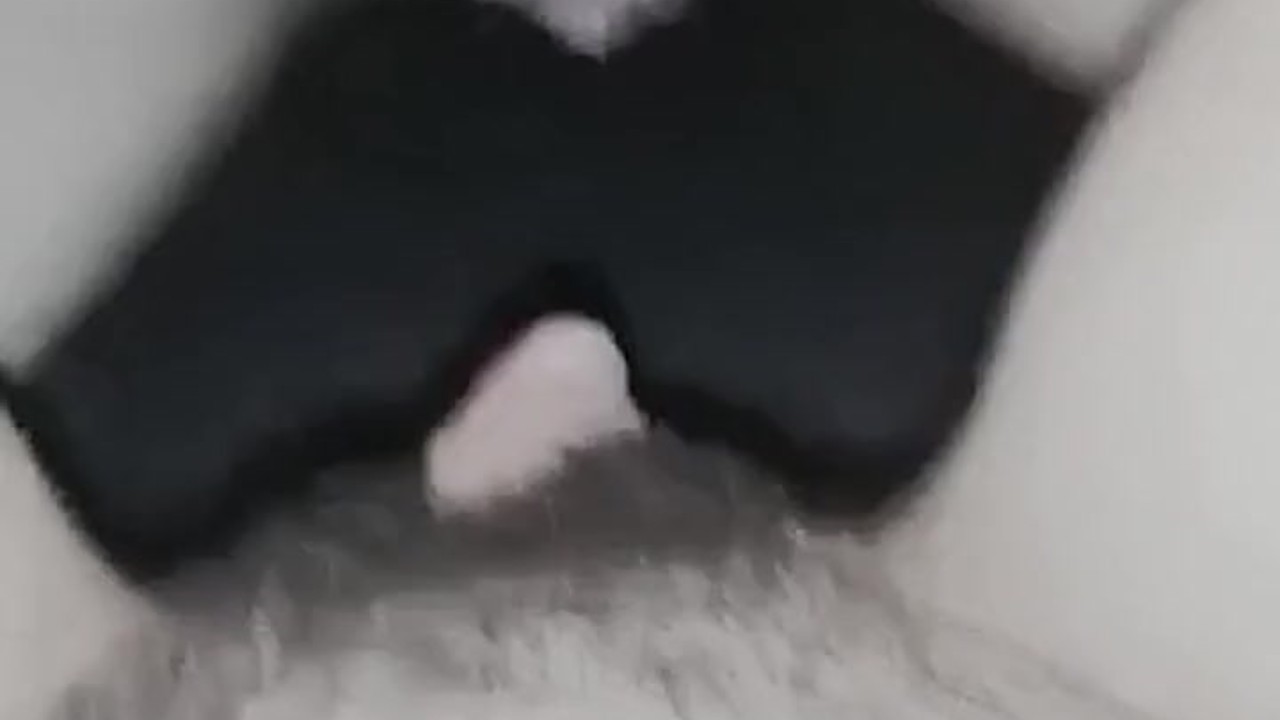 Big clit orgasm on a trans wet pussy