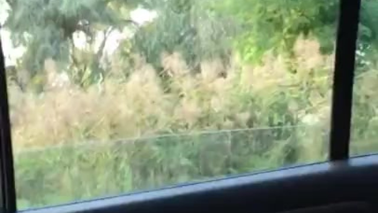Публичный самоотсос перед девушками 19.09.20 1