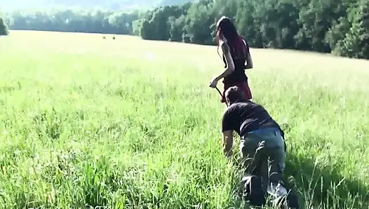 Pet on the leash in a meadow