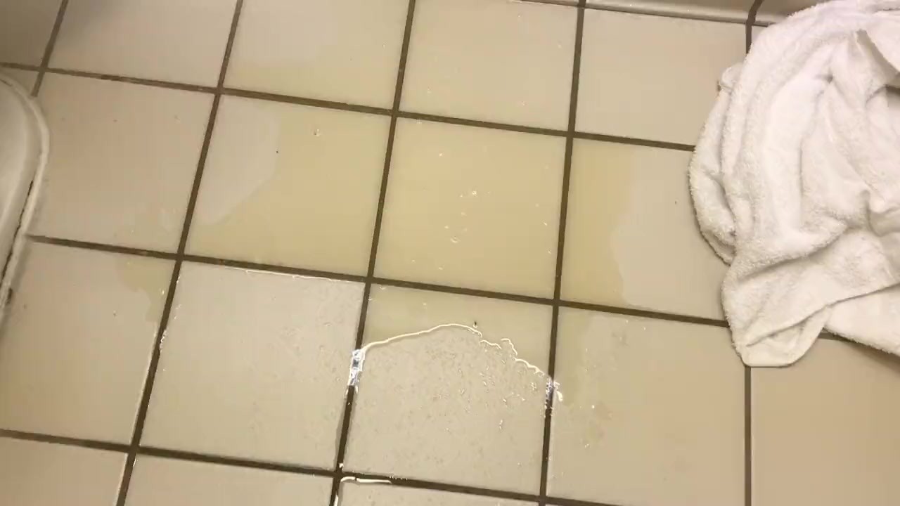 Hotel was nasty so I made it nastier!