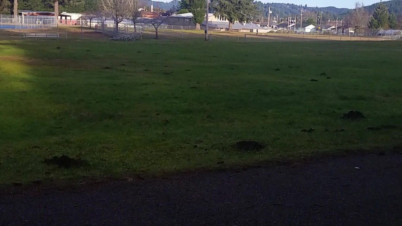 Jerking my cock outside and cumming