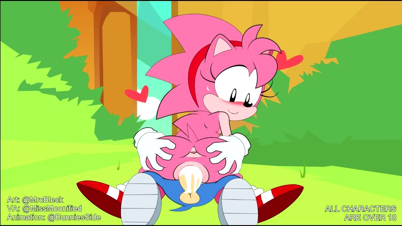 Amy Rose Fucks Sonic - Sonic Hentai