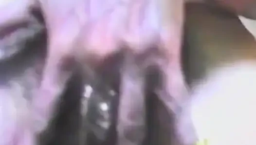 Amateur Strip Show Turns Naughty