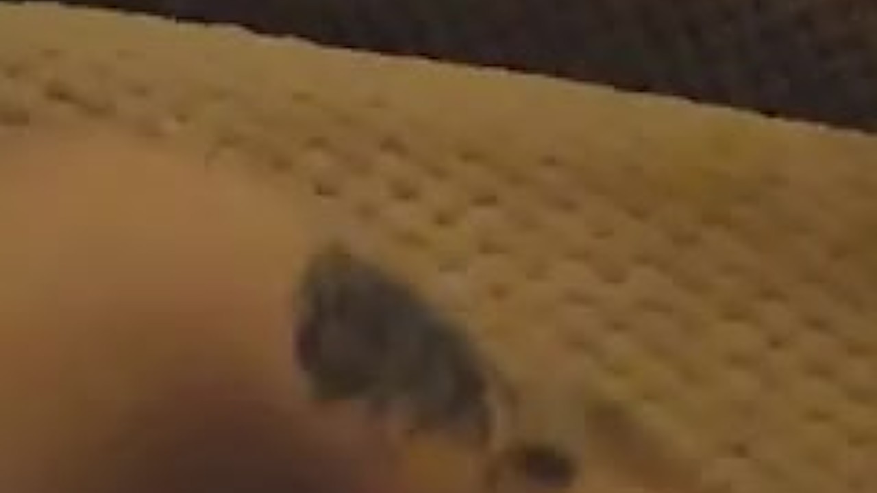 Finger fucking myself