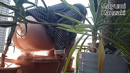 I Pee in the Potted Plant Again