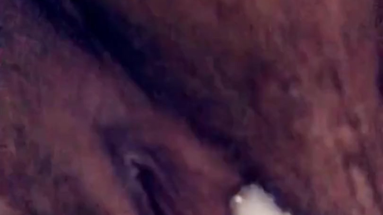 Teaser