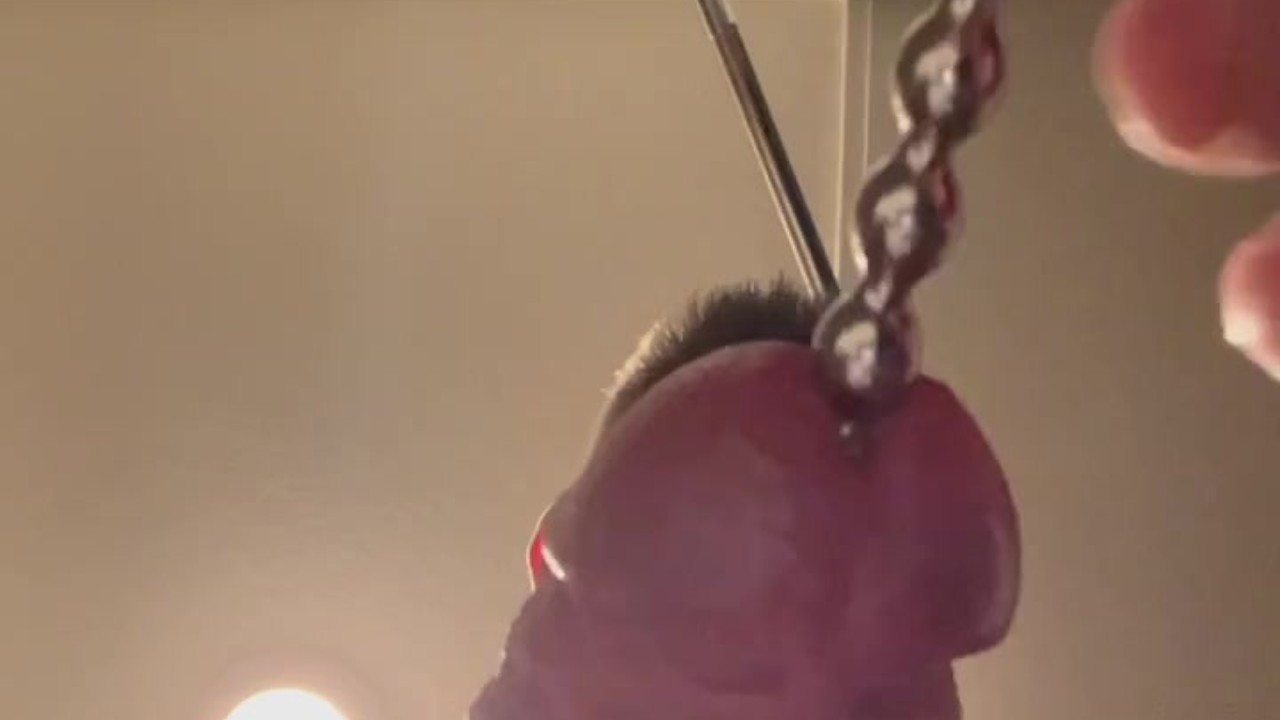 Sounding my big white cock with beaded rod