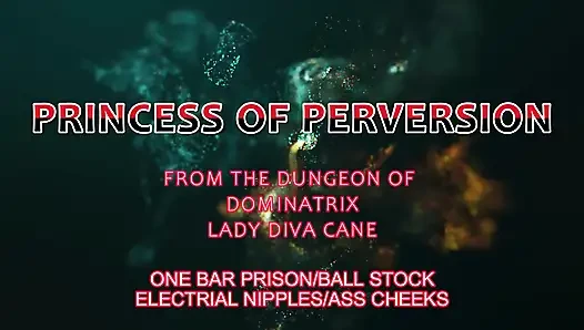 Cock and Wrist Stock on the One Bar Prison with Intense Electro Play