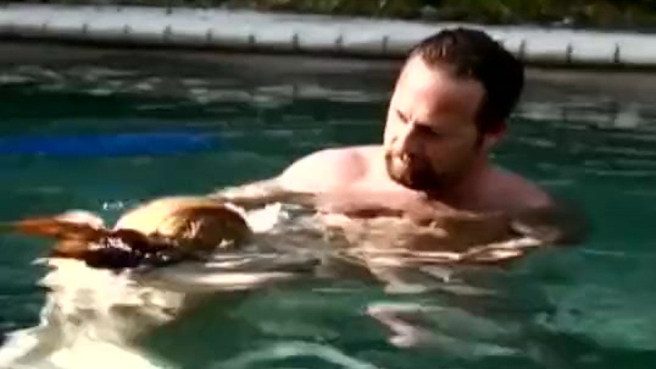 Underwater love