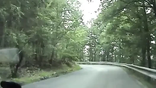 European teen picked up and fucked on the side of the road