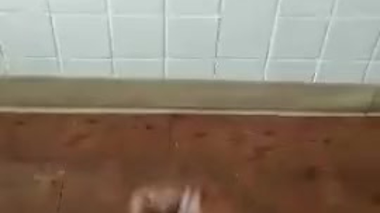 Cum and catch it