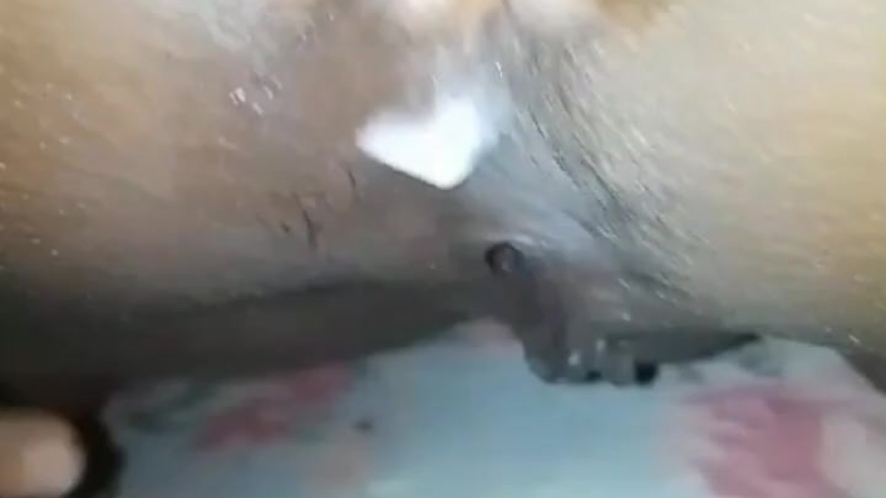 පුකේ හිලට ඇඟිල්ල දාලා සැපක් ගත්තා - Asshole Fingering Fun