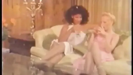 Vanessa Del Rio & Merle Michaels