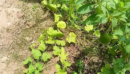 Jungal me sex kiya Zaara Bhabhi ne PART -1