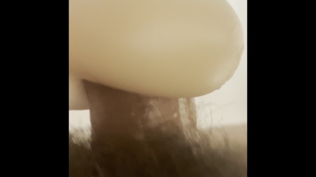 Fleshlight Shower Mount - Smash