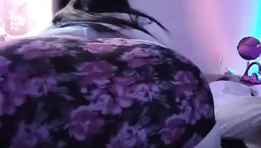 Let's shake this ass