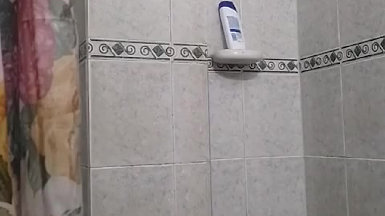 DUCHAANTESDE