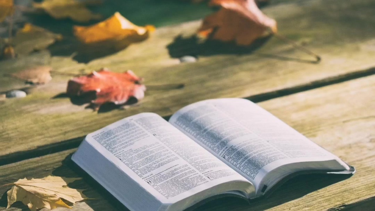Numbers 31-32 KJV (Full Bible Read Through Video #37)