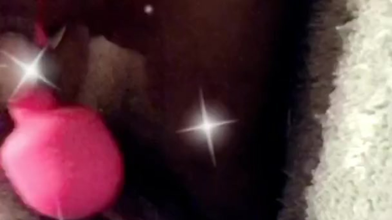 Lil creamy play tease insta.officialShesquirtz