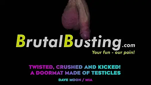 Testicular Trampoline! Twisted, Crushed and Kicked! Sadistic Destruction of His Useless Genitals! - Dave Moon - Mia - Bbusting