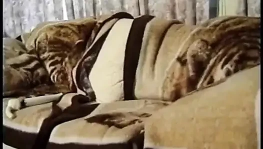 Vintage big boobs blonde big cock sucking dildo playing