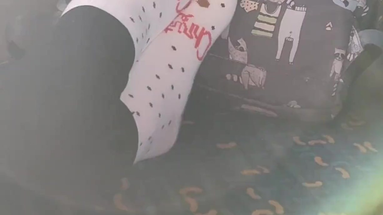 Socks and Feet Tease on The Train