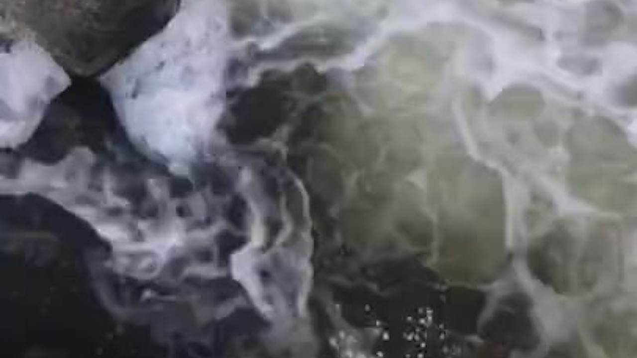 Pissing off a bridge in broad daylight