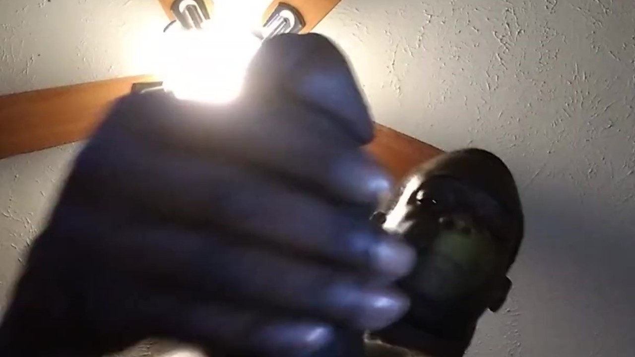 PLAYING WITH THAT DICK OUT THE SHOWER ....