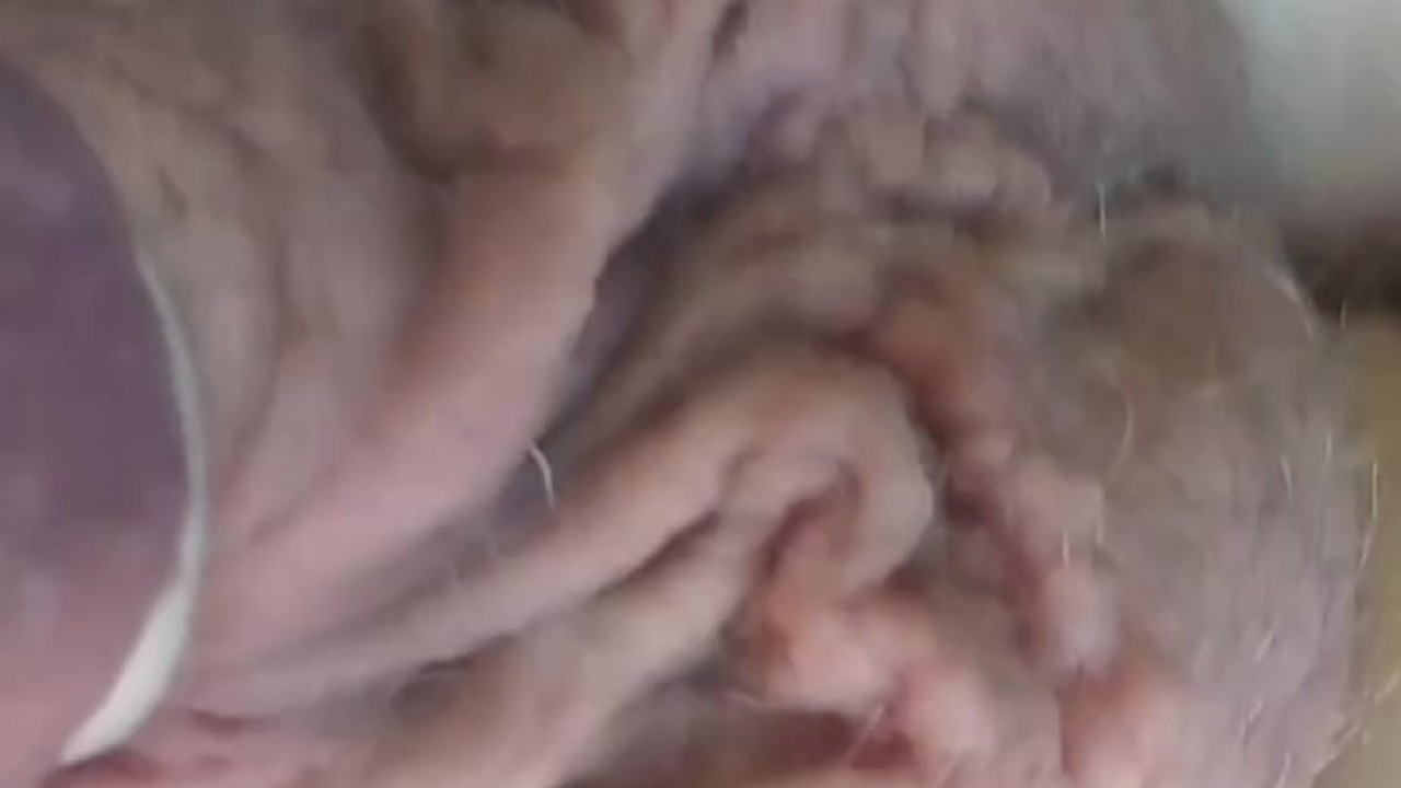 I touch my hairy balls in car