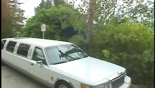 Busty MILF wants to have an adventure in a limousine