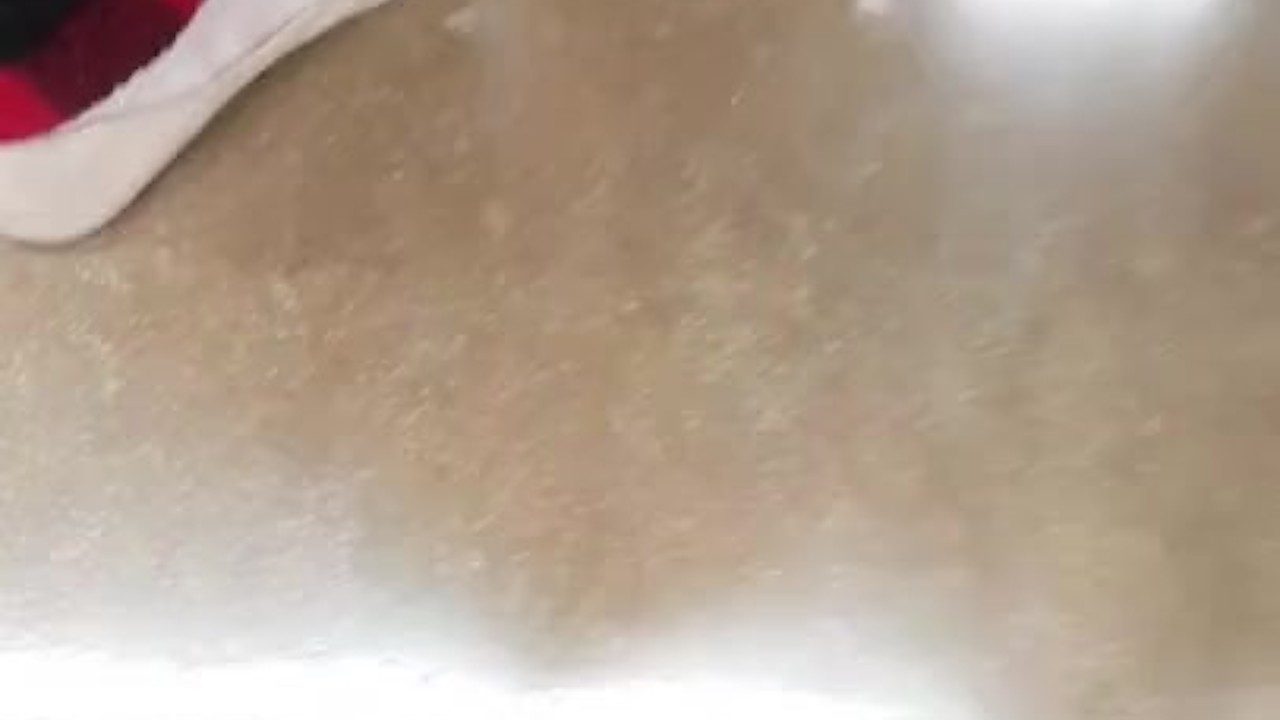 Quick Squeaky Flat Popping Tease In Walmart