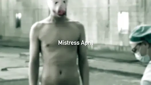 Dominatrix Mistress April - Piggy at the Abattoir